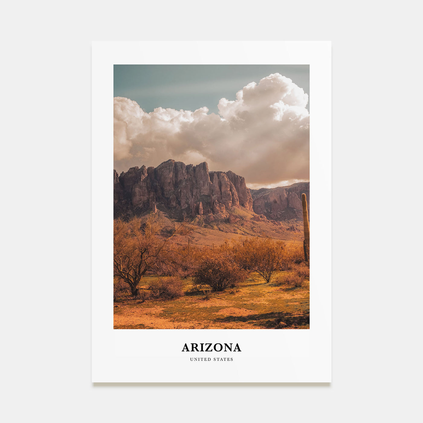 Arizona Portrait Color No 1 Poster