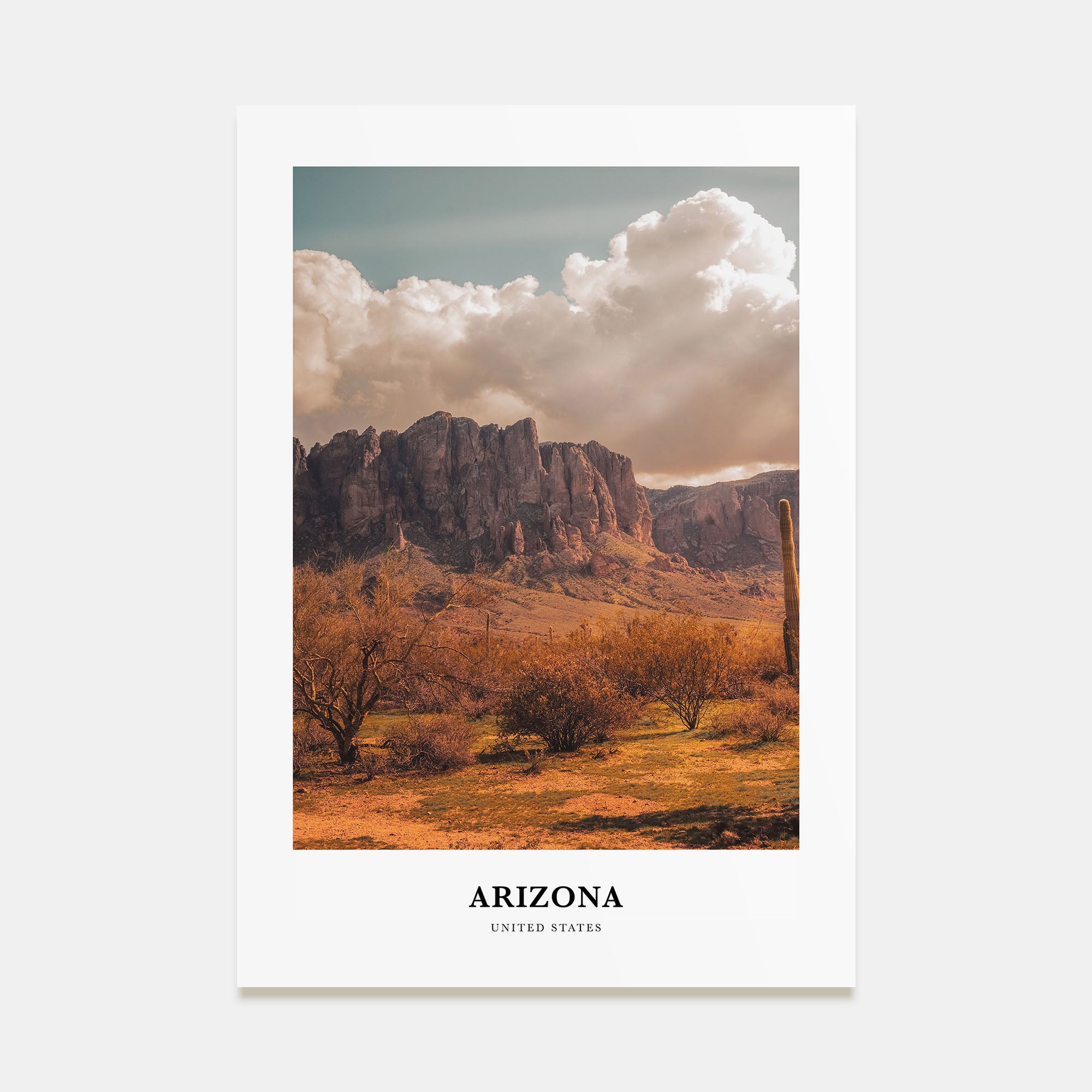 Arizona Portrait Color No 1 Poster