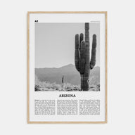 Arizona Travel B&W No 1 Poster
