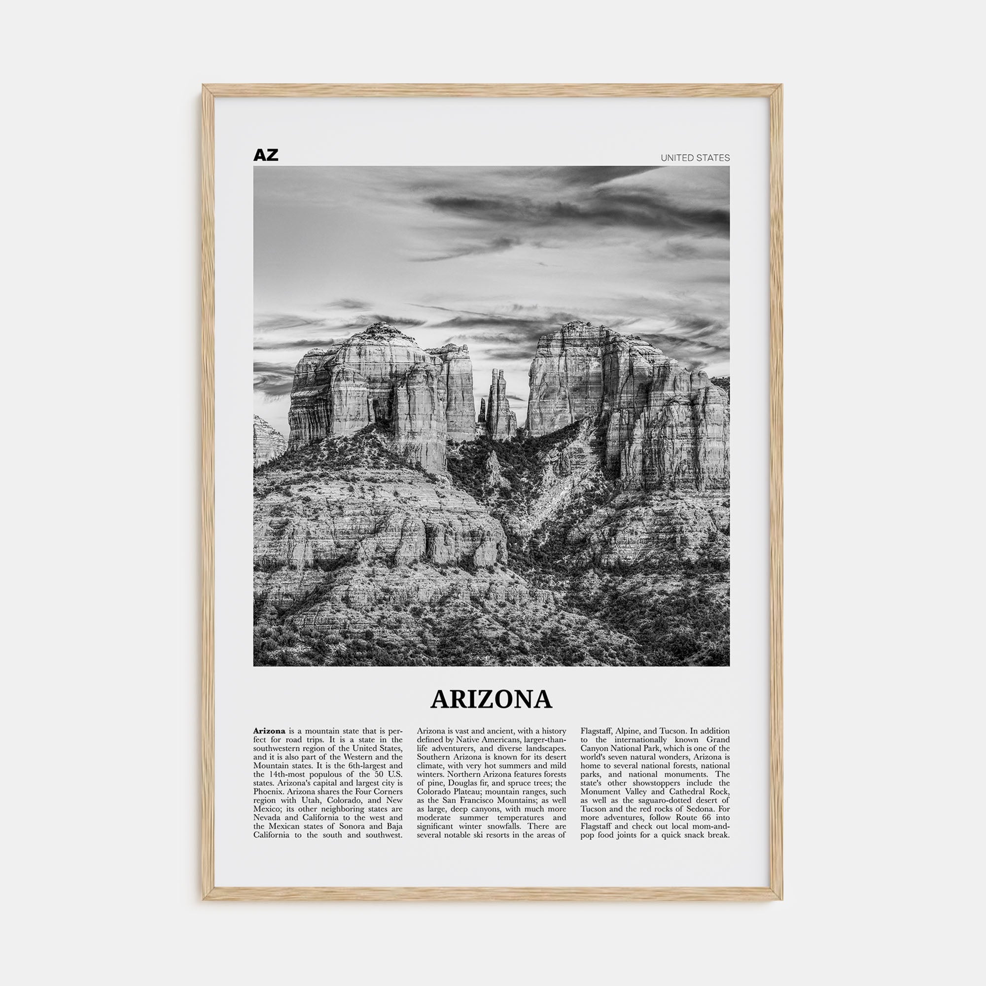 Arizona Travel B&W No 3 Poster