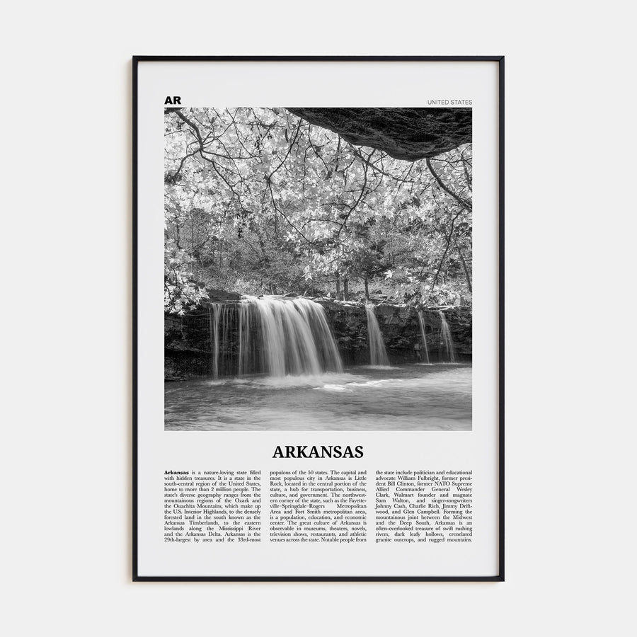Arkansas Travel B&W No 3 Poster