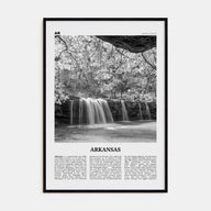 Arkansas Travel B&W No 3 Poster
