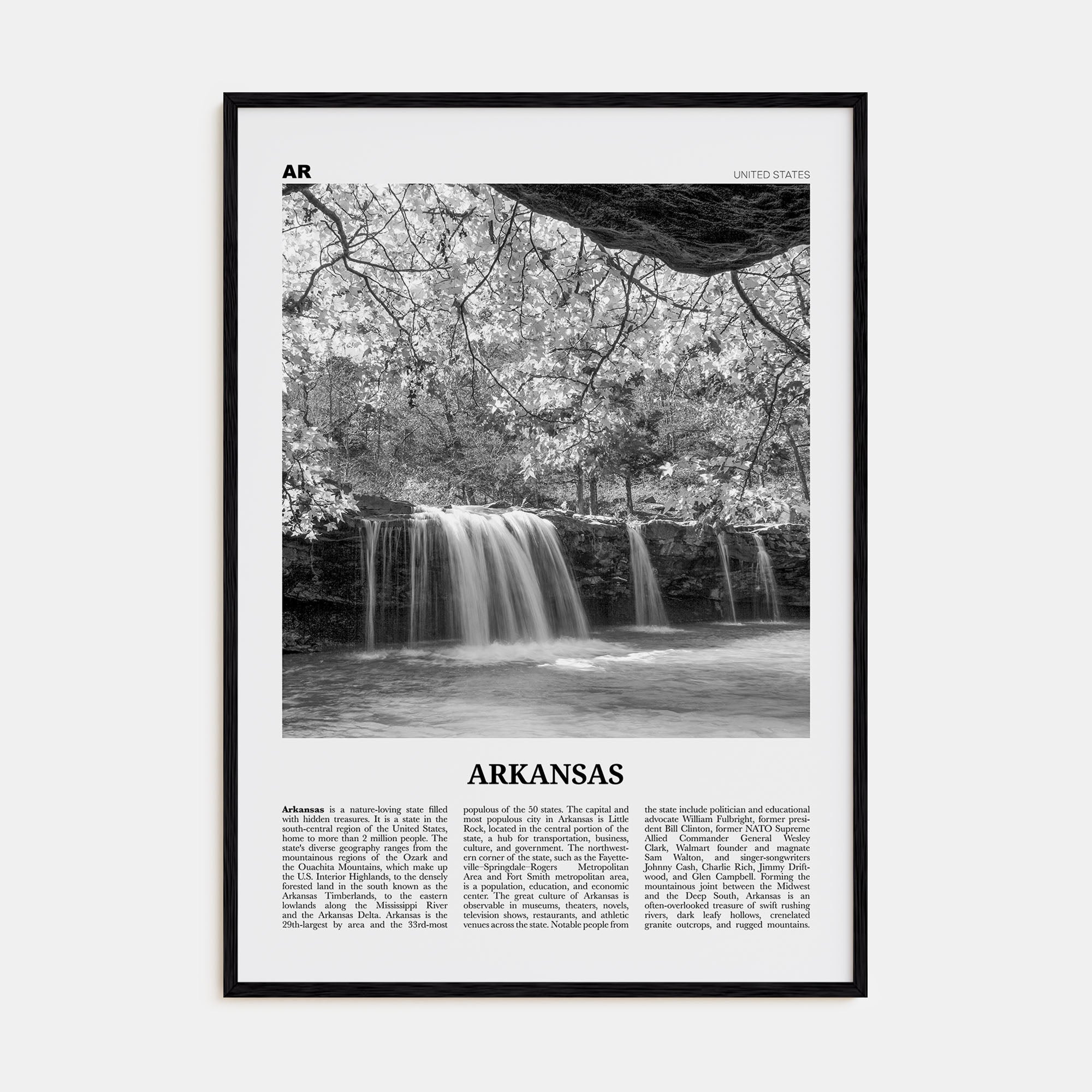 Arkansas Travel B&W No 3 Poster