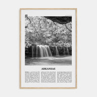 Arkansas Travel B&W No 3 Poster