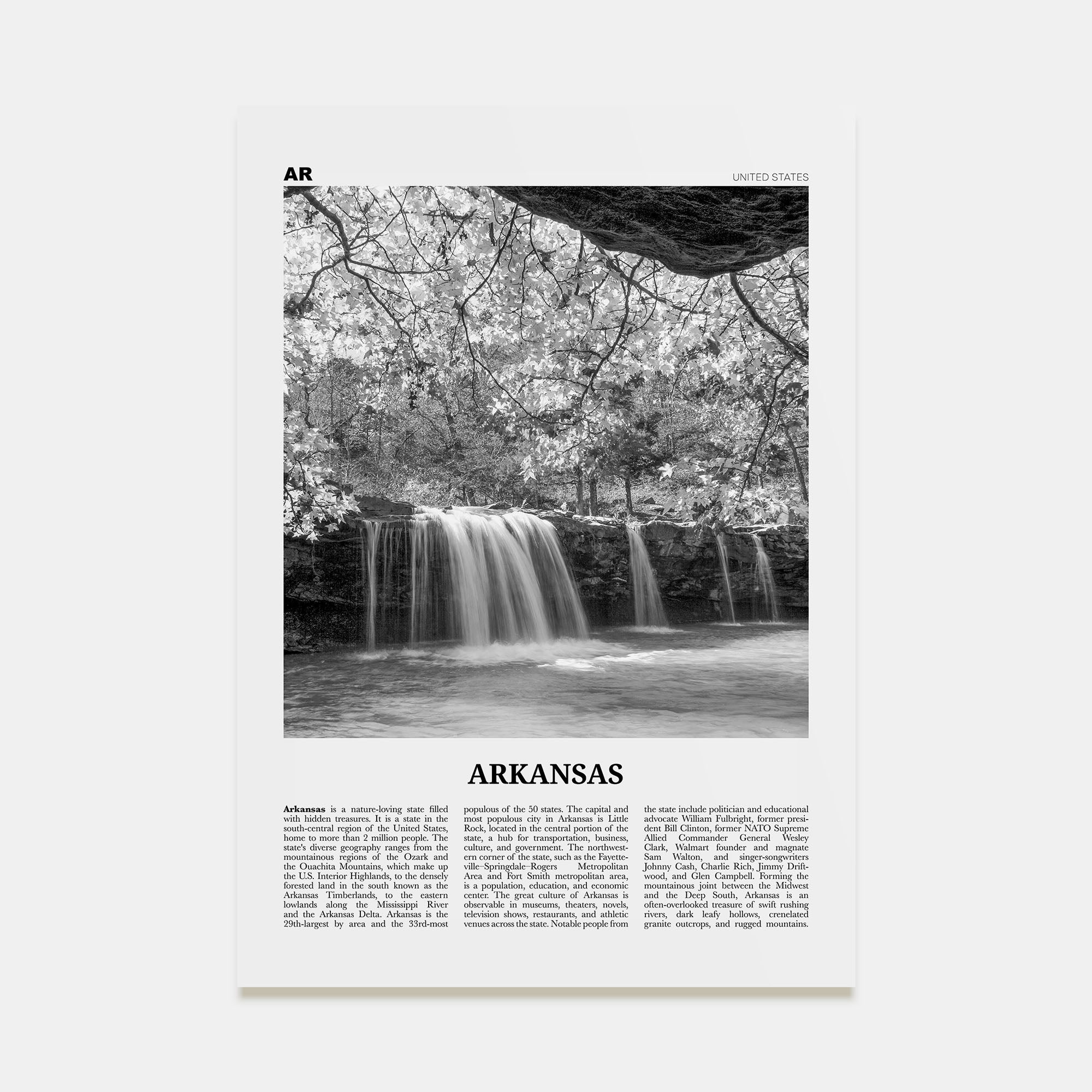 Arkansas Travel B&W No 3 Poster