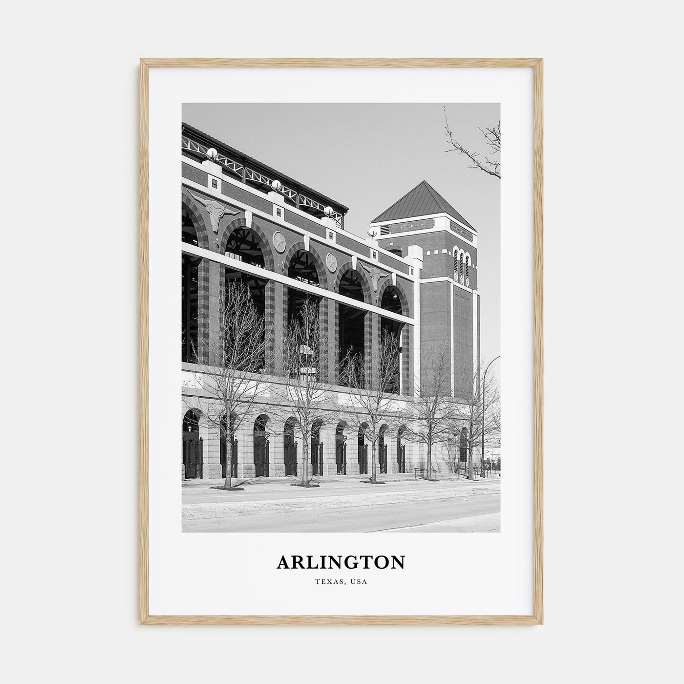 Arlington, Texas Portrait B&W Poster