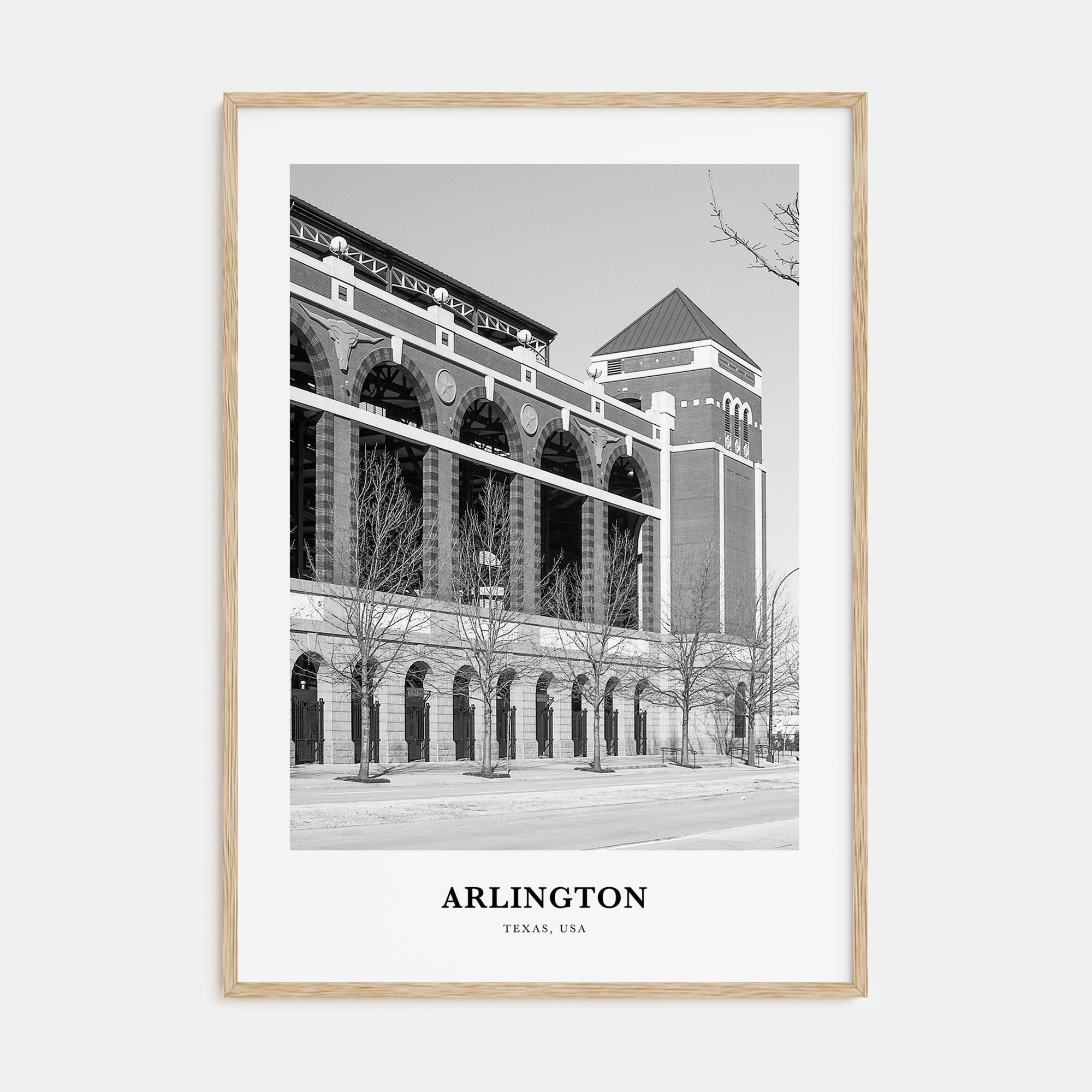Arlington, Texas Portrait B&W Poster