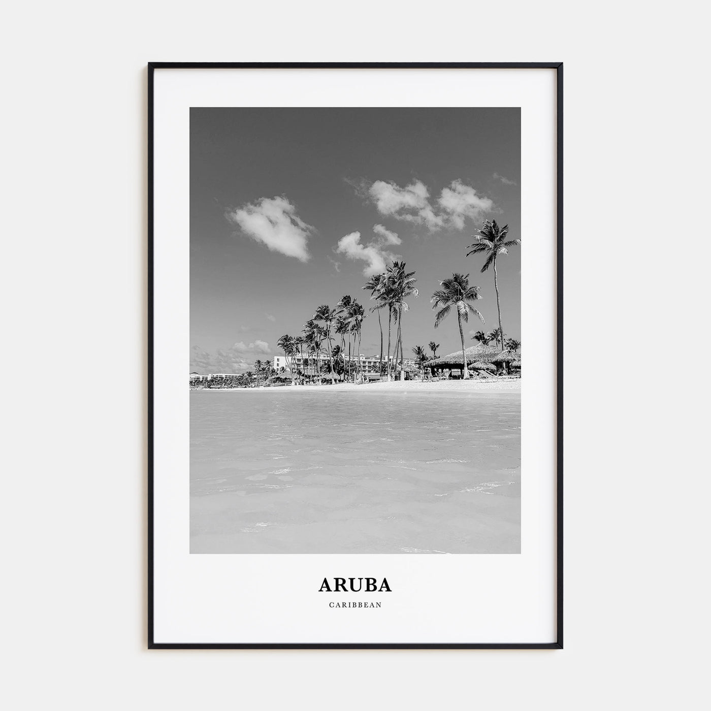 Aruba Portrait B&W No 1 Poster