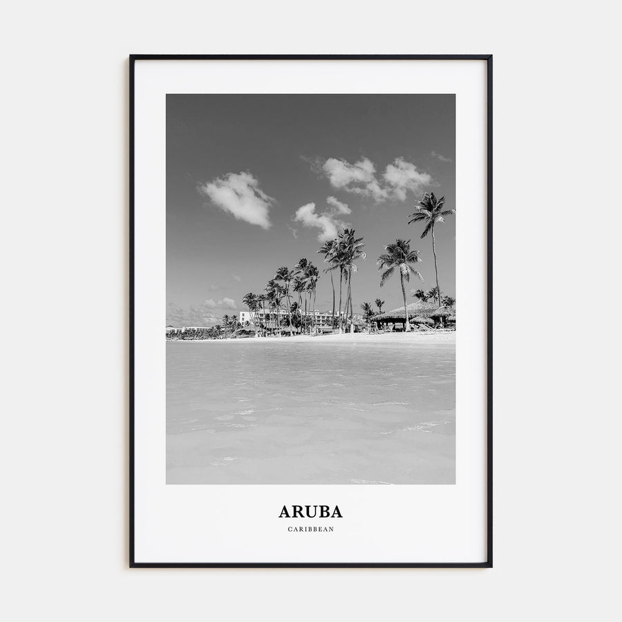 Aruba Portrait B&W No 1 Poster