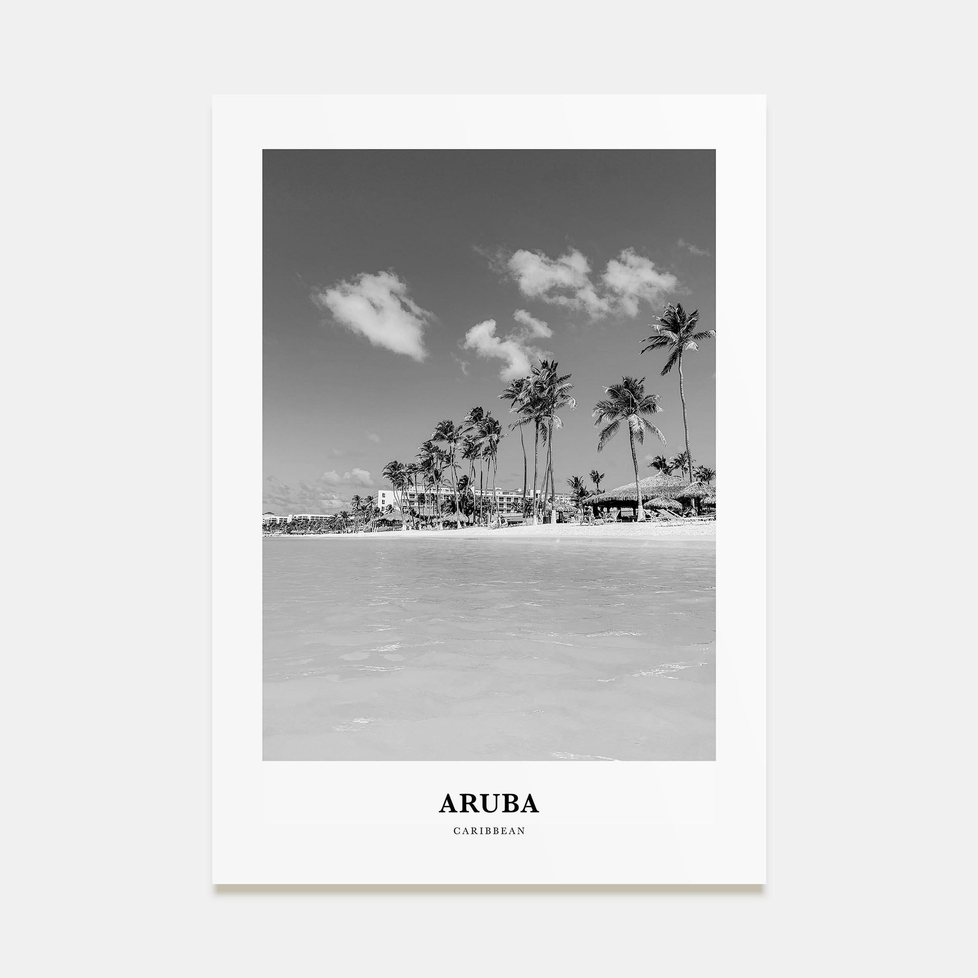 Aruba Portrait B&W No 1 Poster