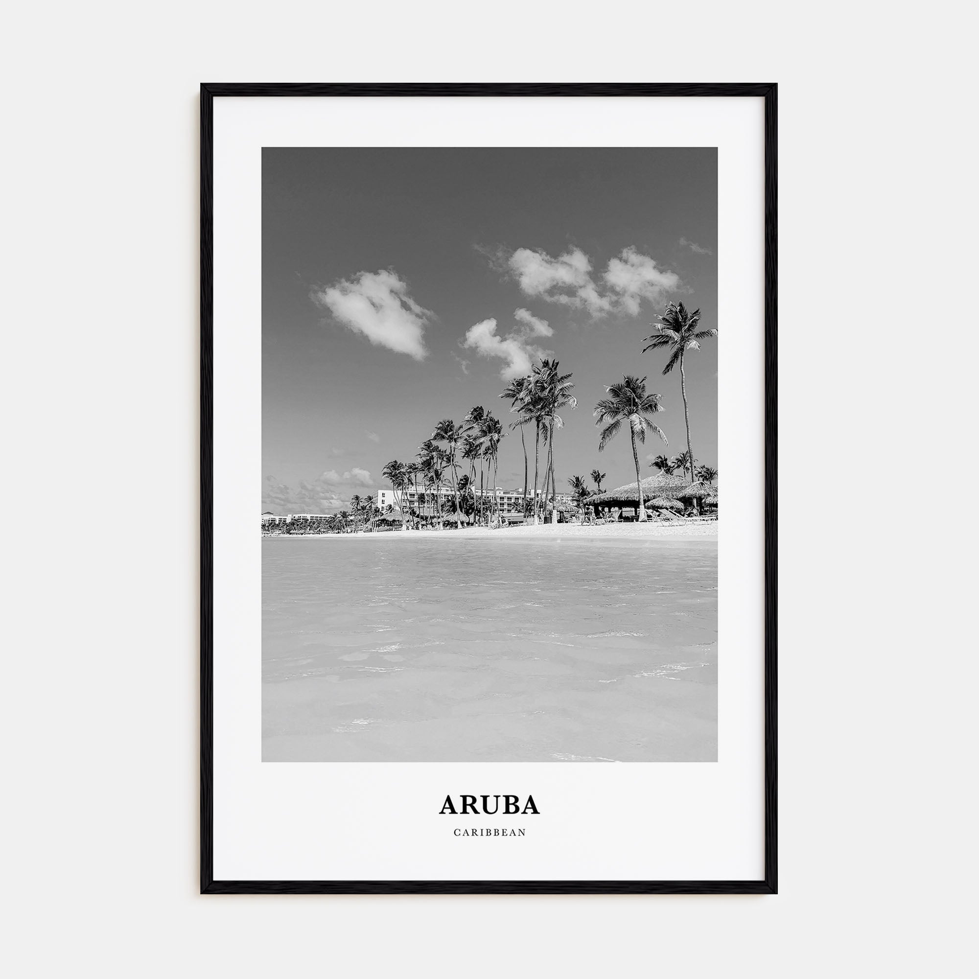 Aruba Portrait B&W No 1 Poster