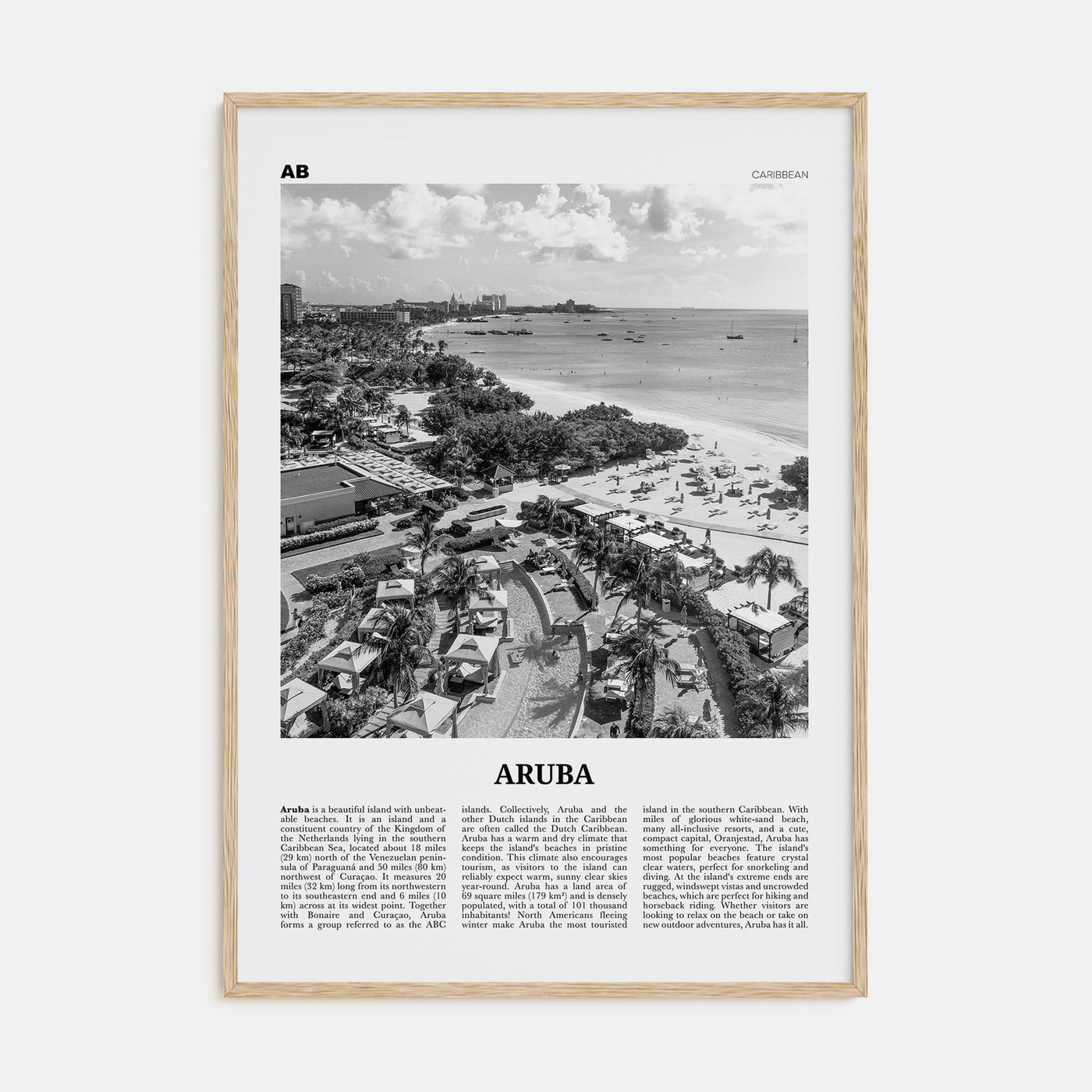 Aruba Travel B&W No 2 Poster