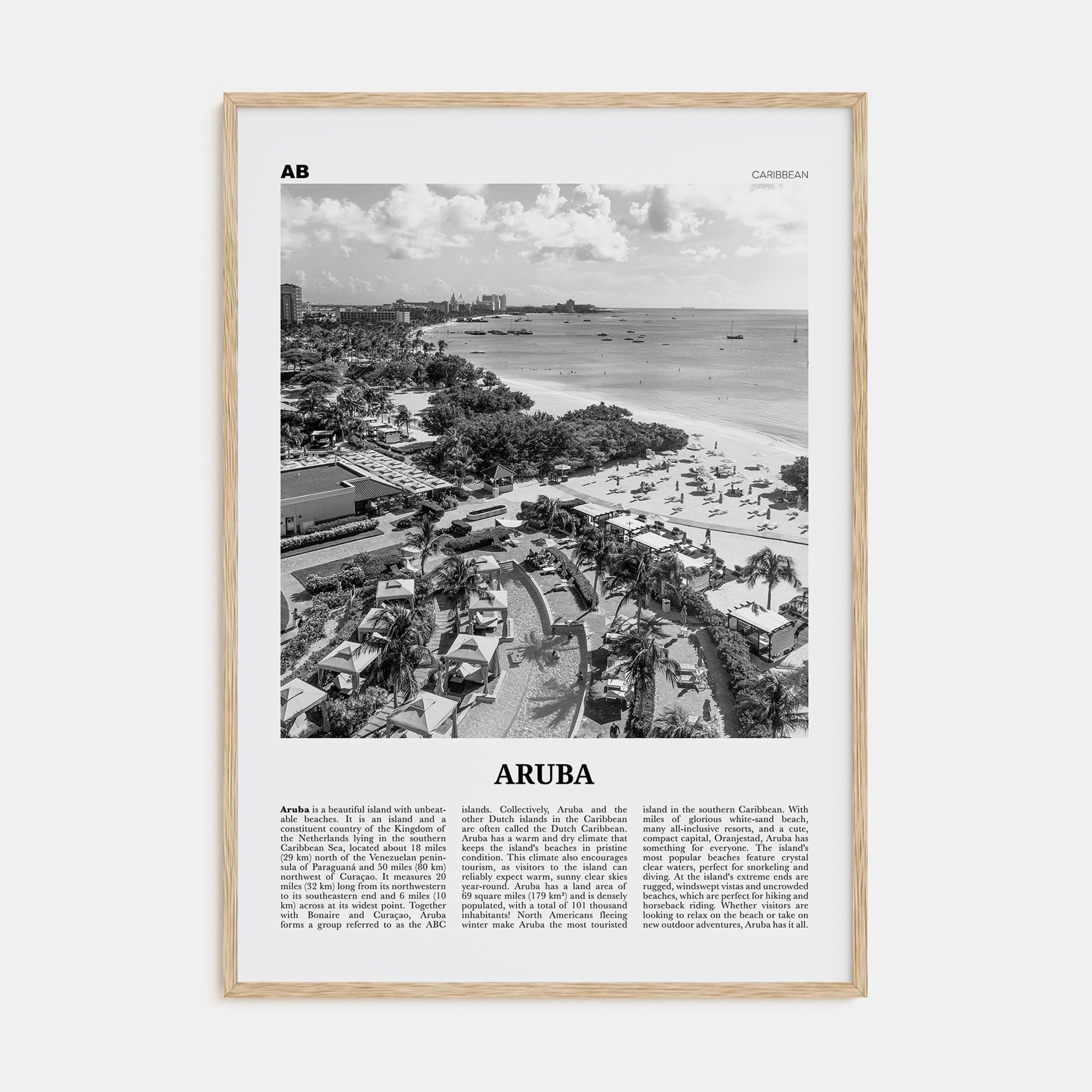 Aruba Travel B&W No 2 Poster