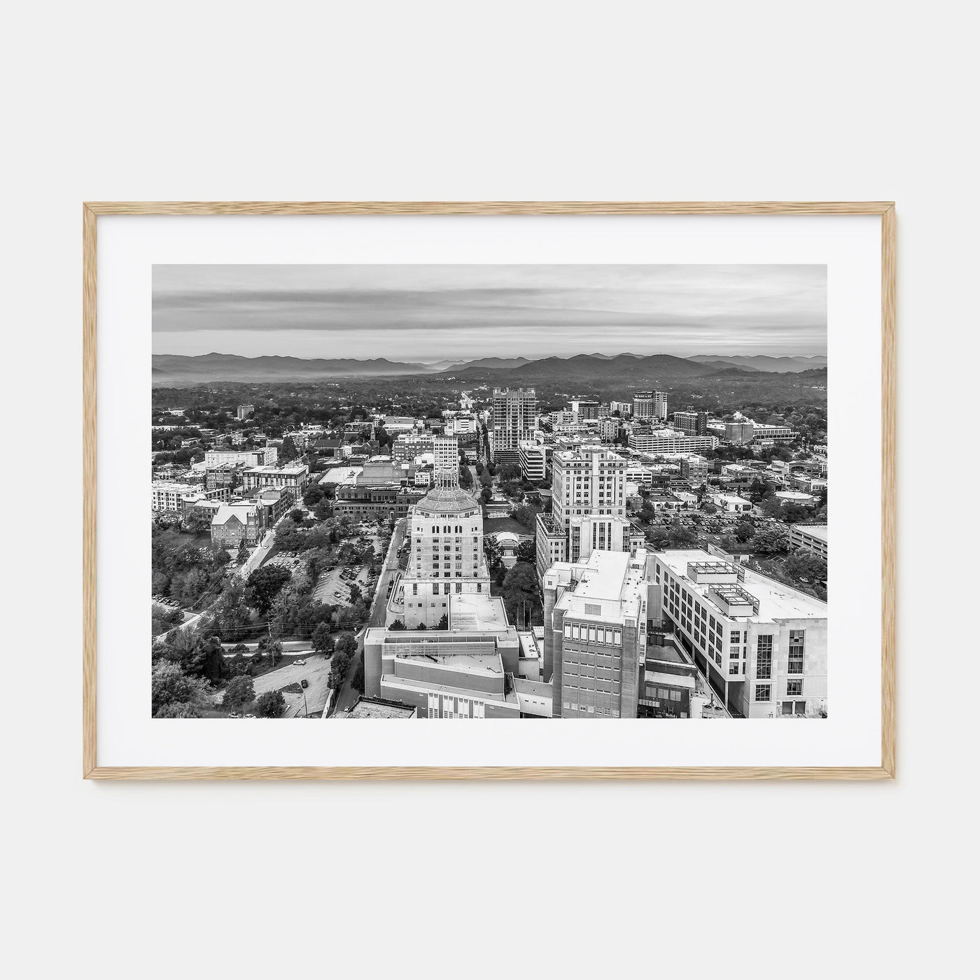 Asheville Landscape B&W Poster