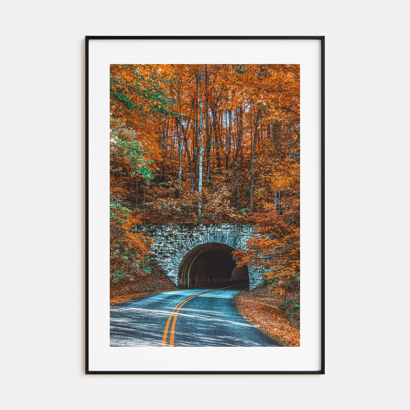 Asheville Photo Color No 2 Poster