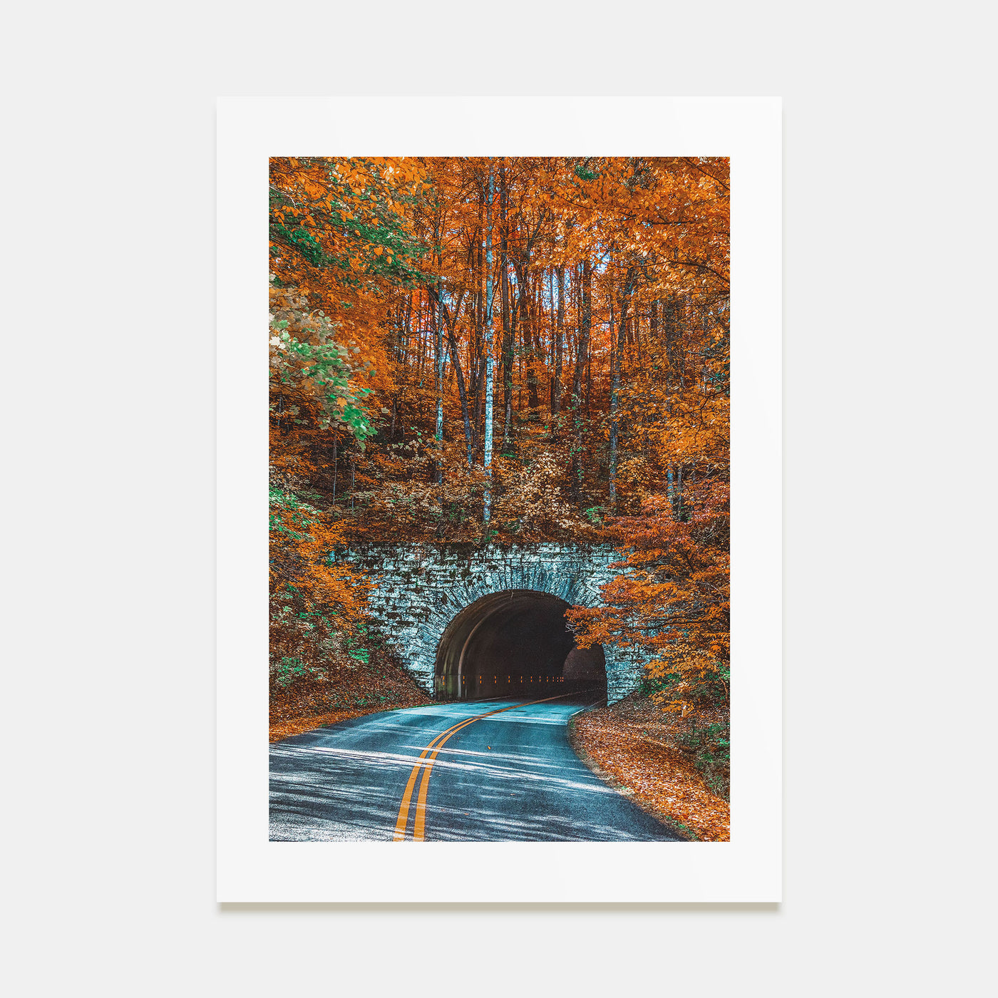 Asheville Photo Color No 2 Poster