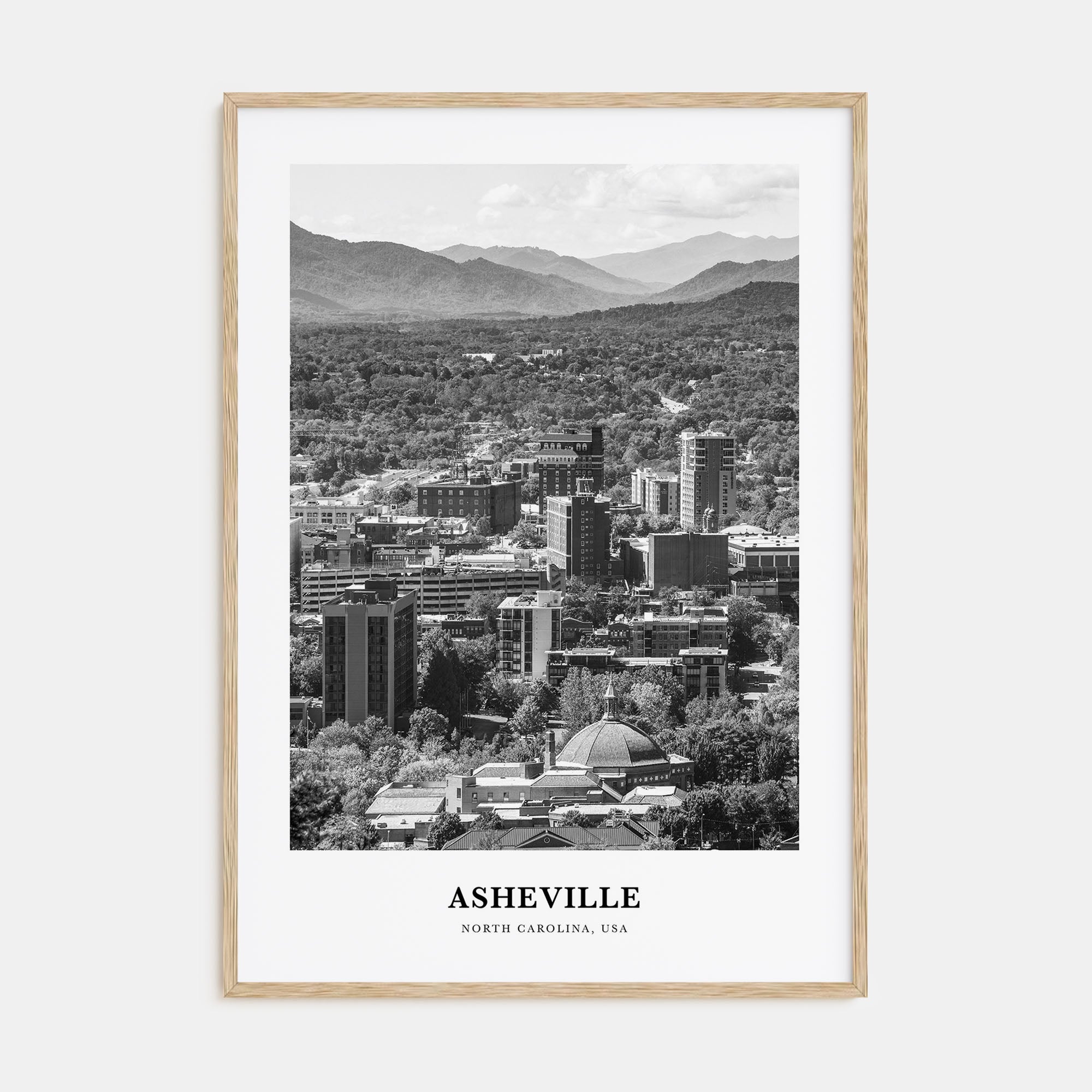 Asheville Portrait B&W No 2 Poster