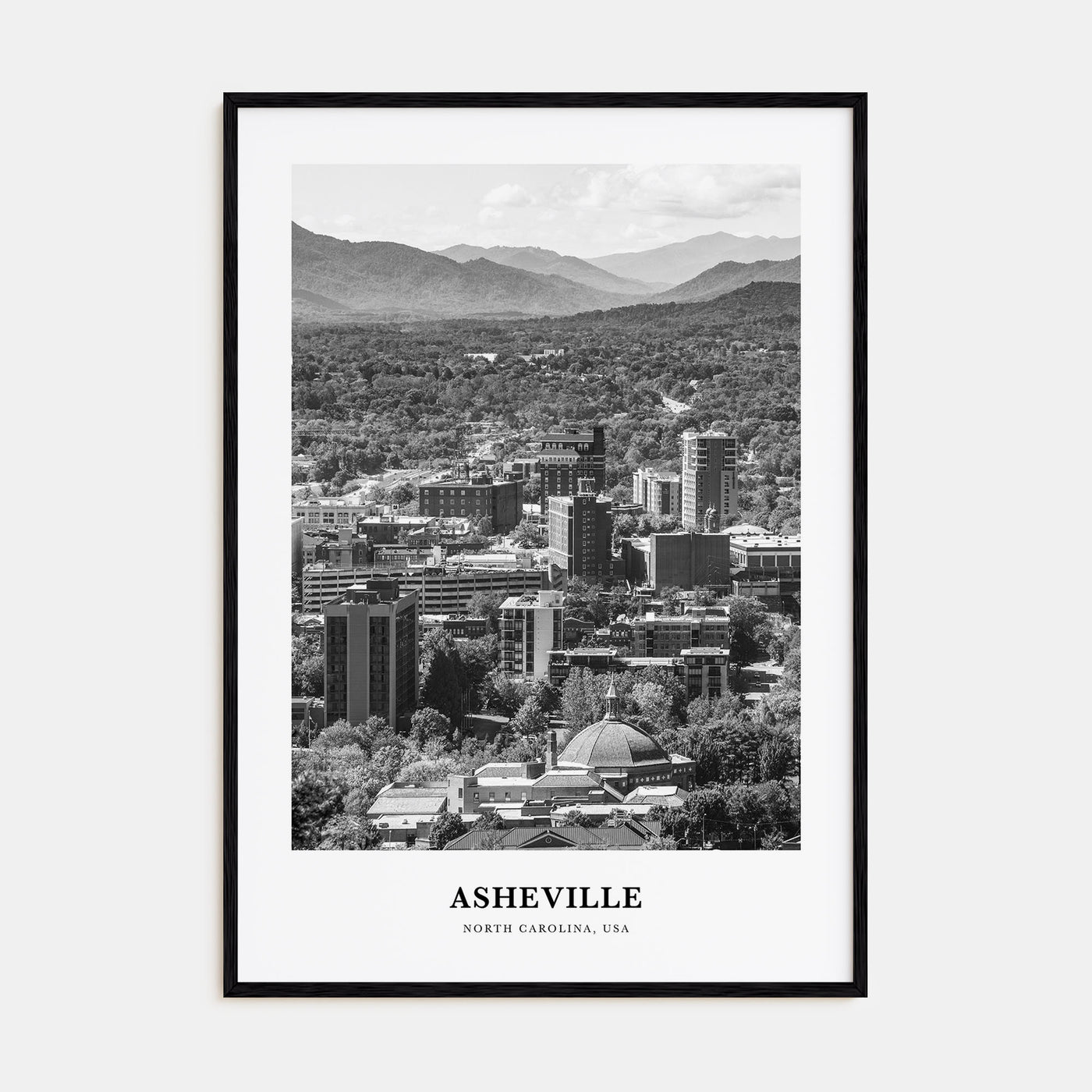 Asheville Portrait B&W No 2 Poster