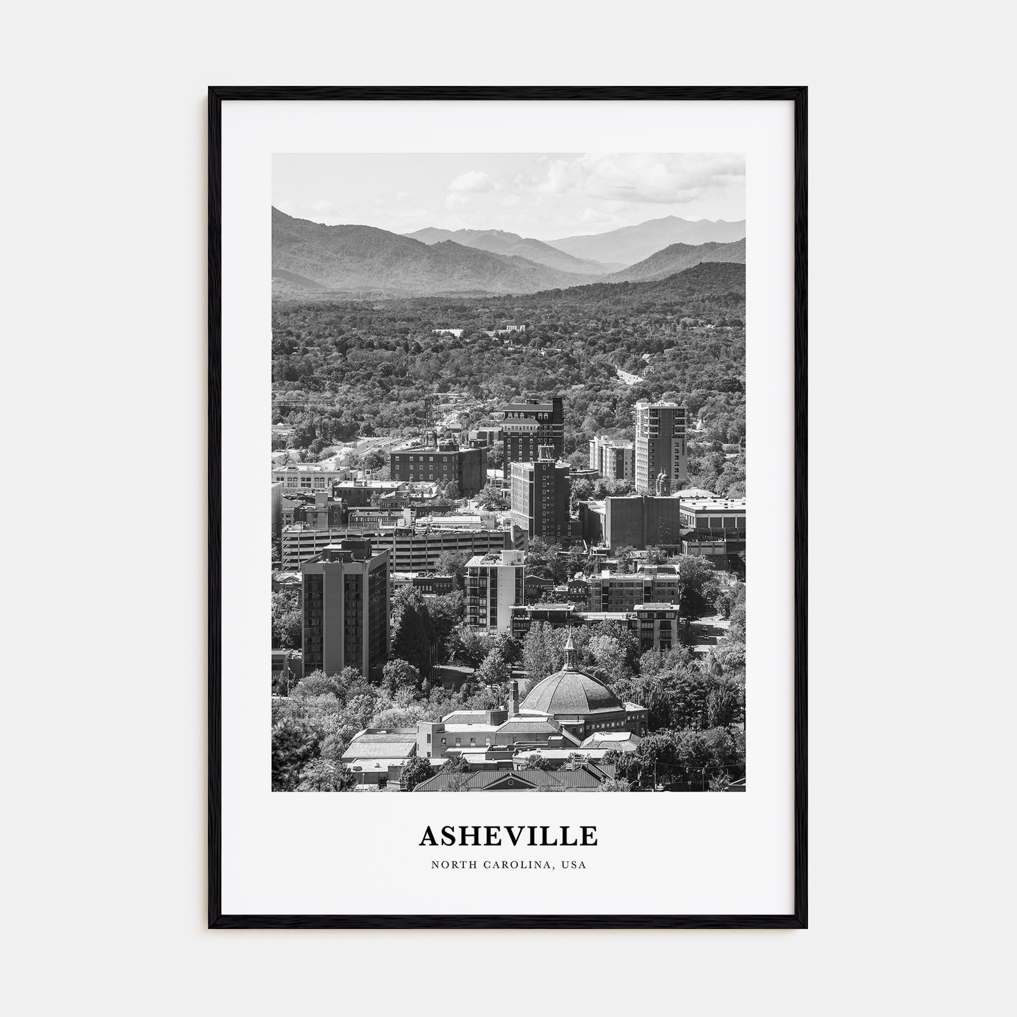 Asheville Portrait B&W No 2 Poster
