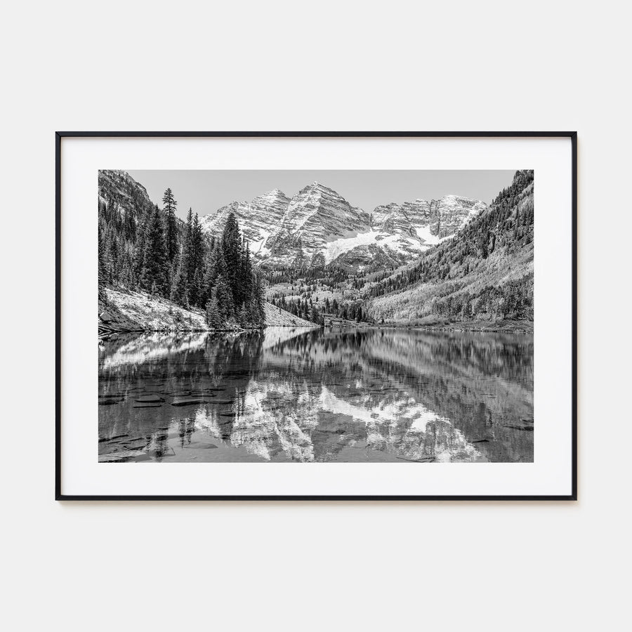 Aspen Landscape B&W Poster