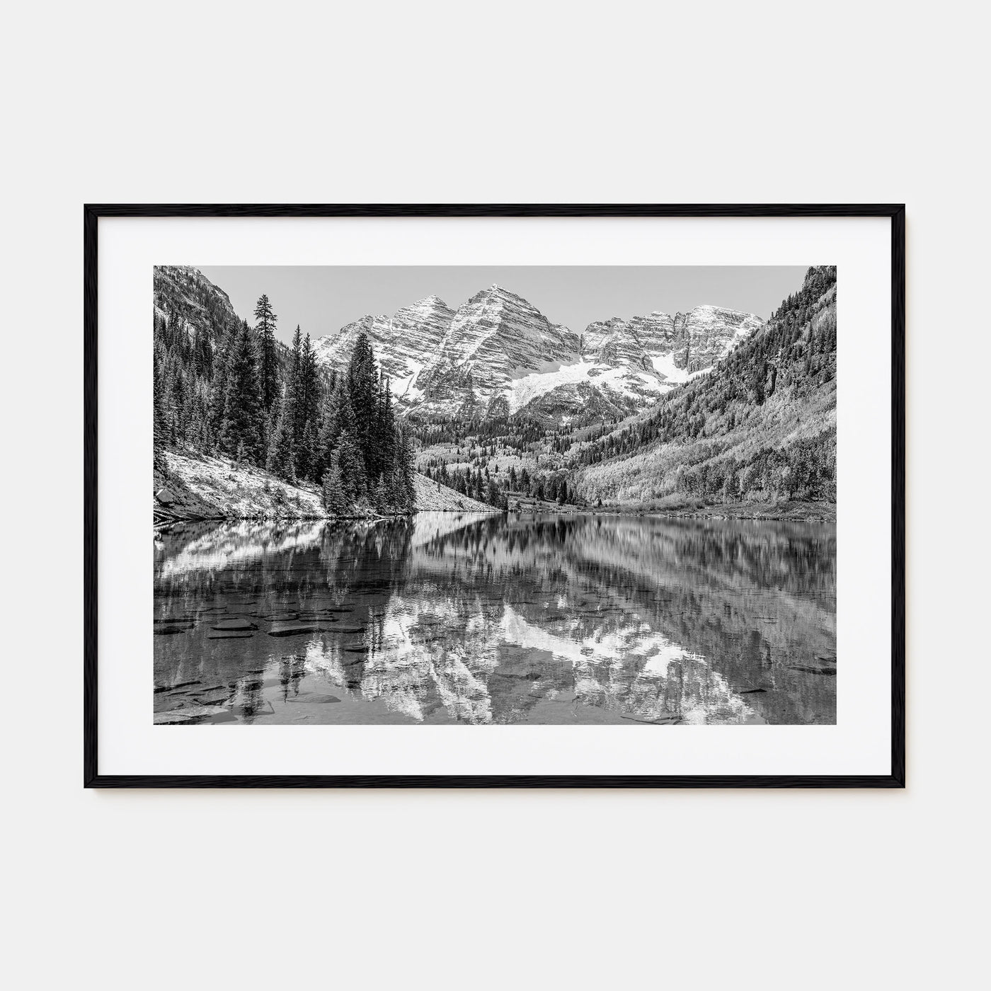 Aspen Landscape B&W Poster