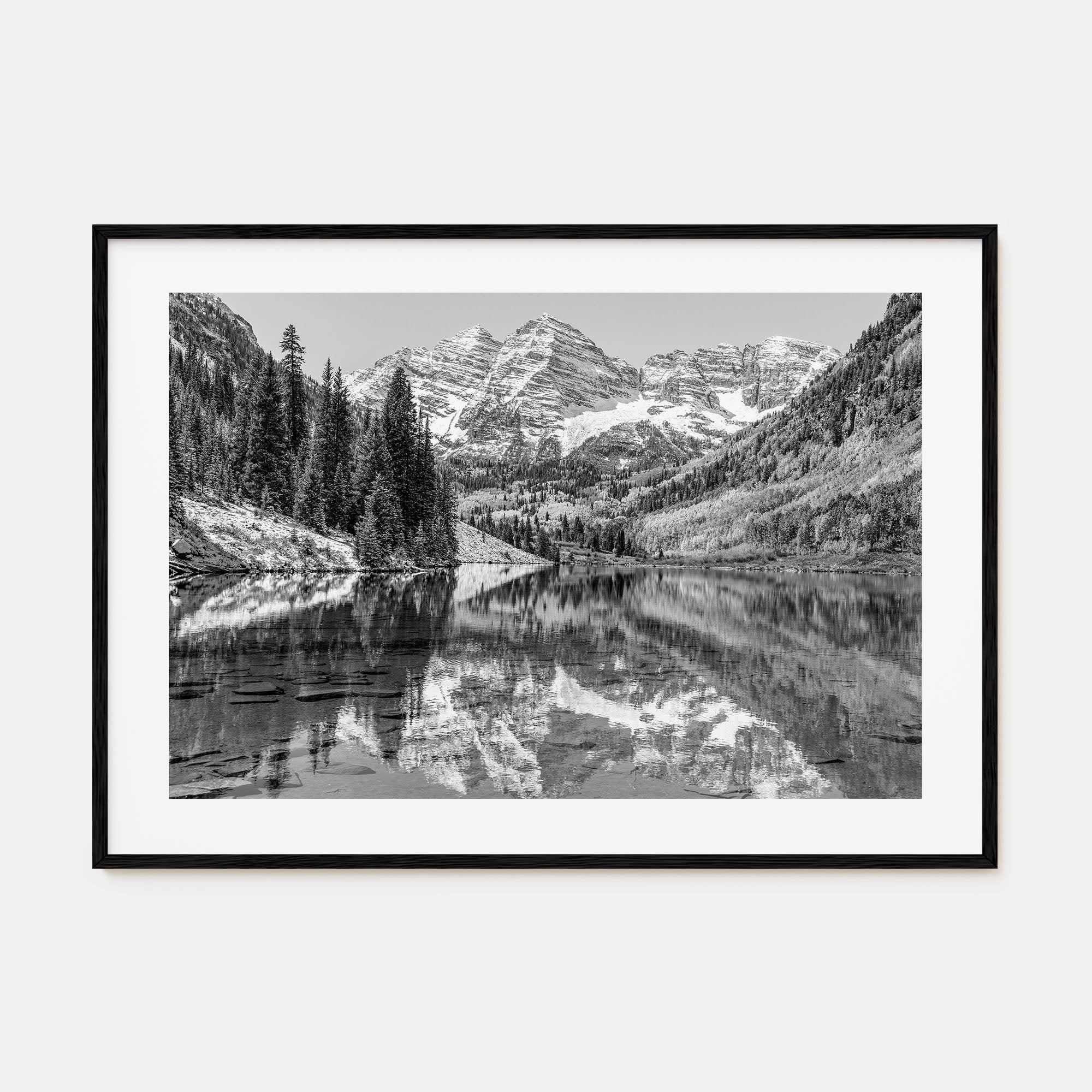 Aspen Landscape B&W Poster