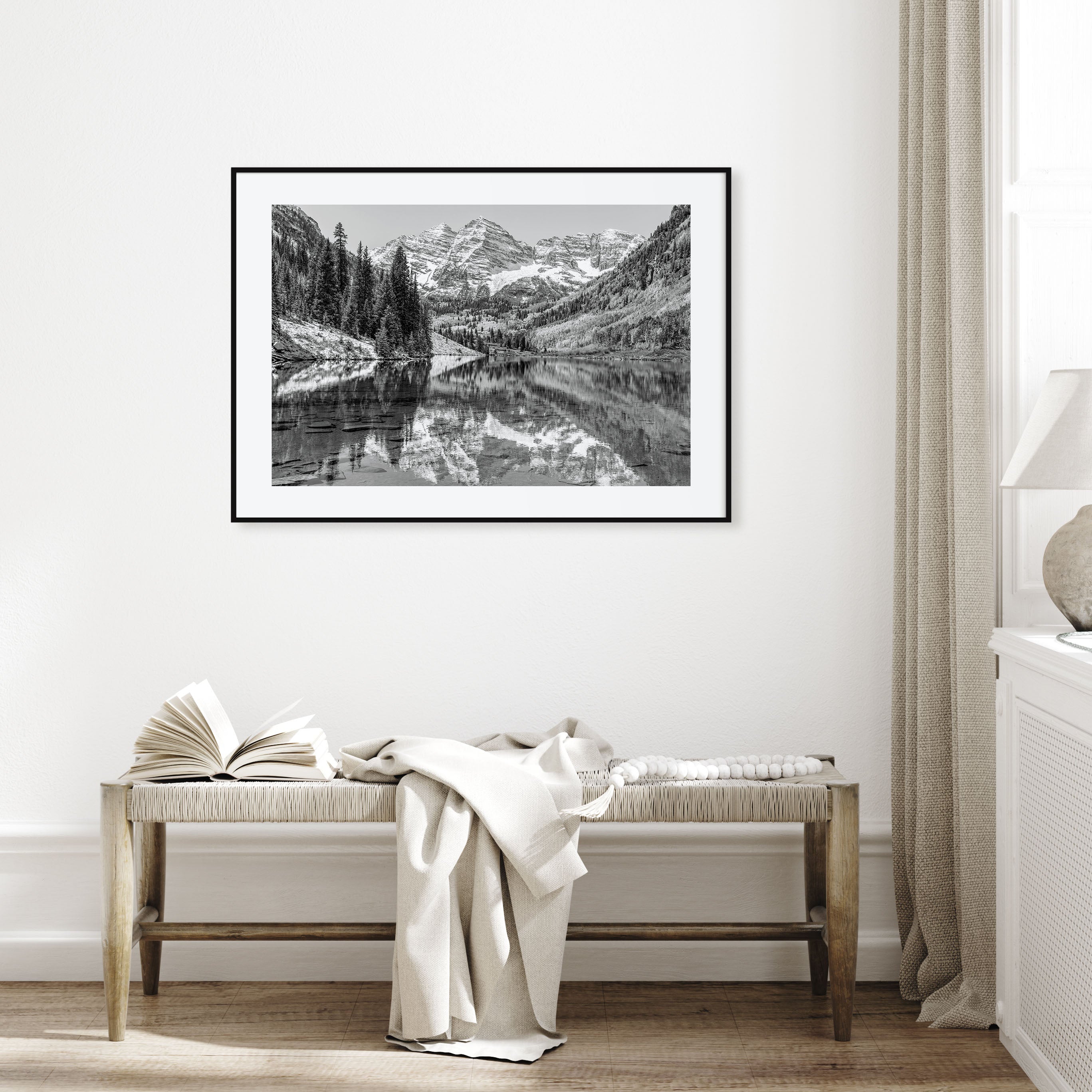 Aspen Landscape B&W Poster