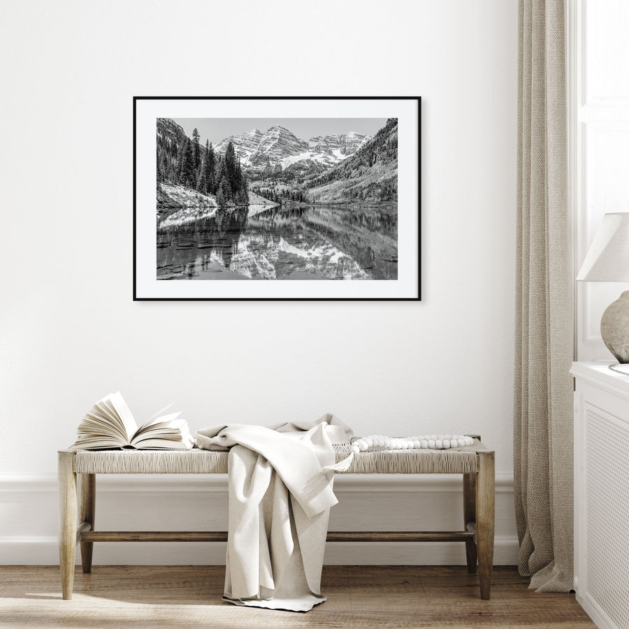 Aspen Landscape B&W Poster