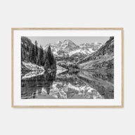 Aspen Landscape B&W Poster