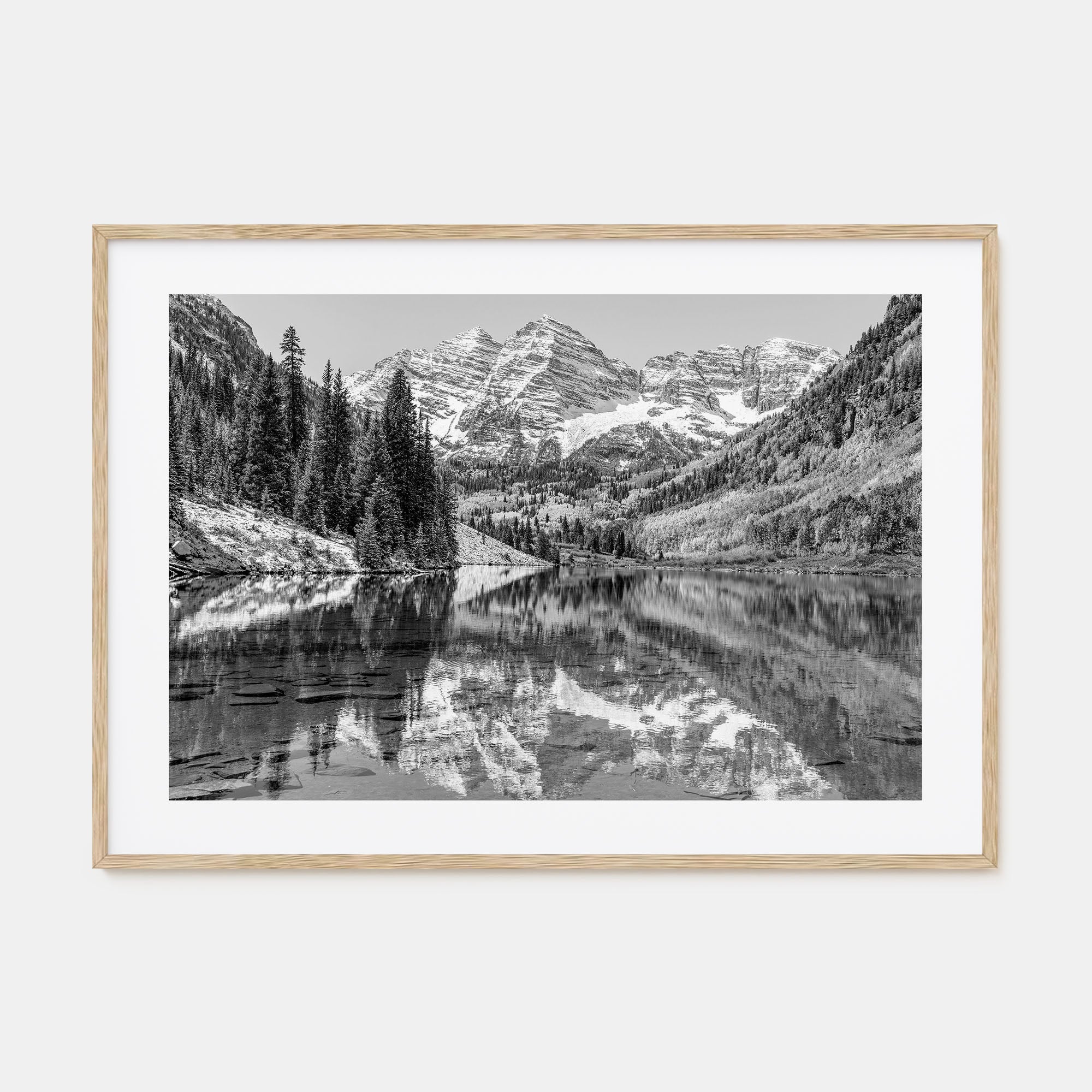 Aspen Landscape B&W Poster