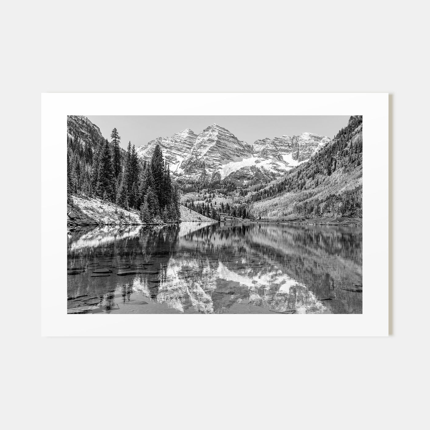 Aspen Landscape B&W Poster