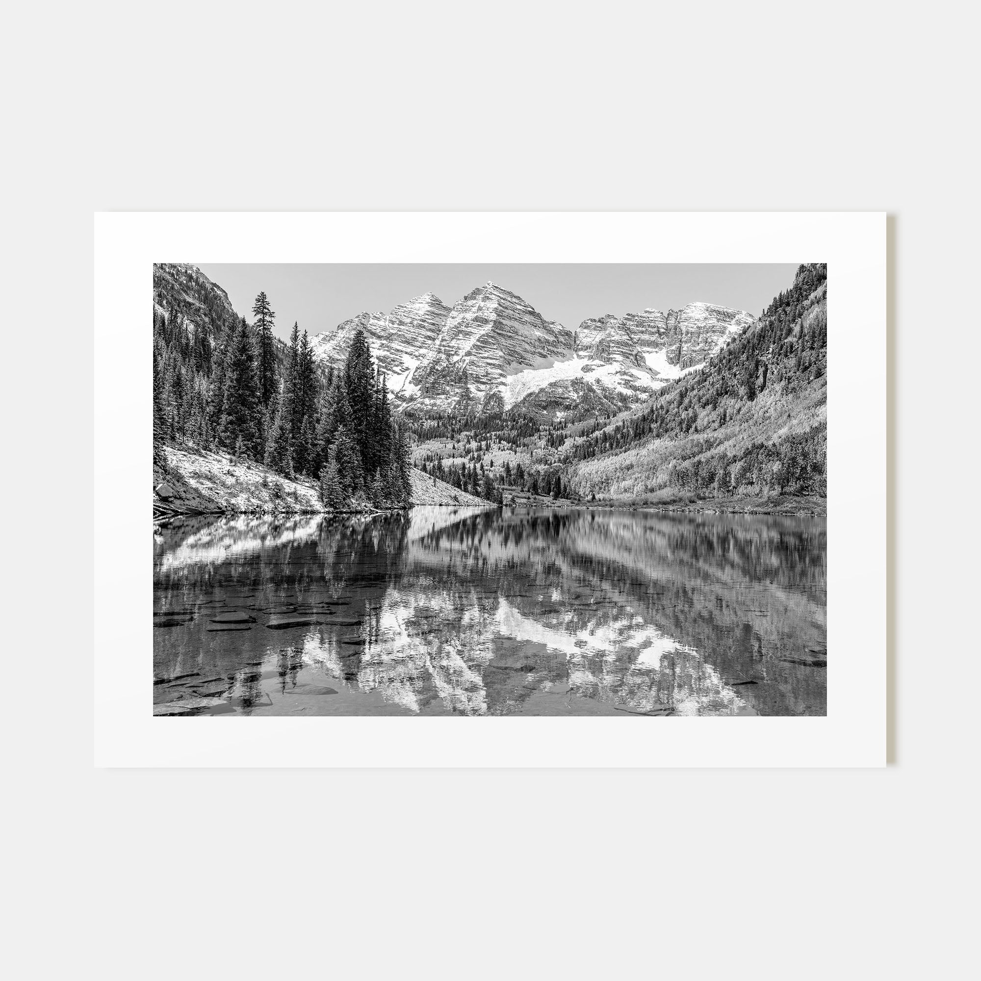 Aspen Landscape B&W Poster