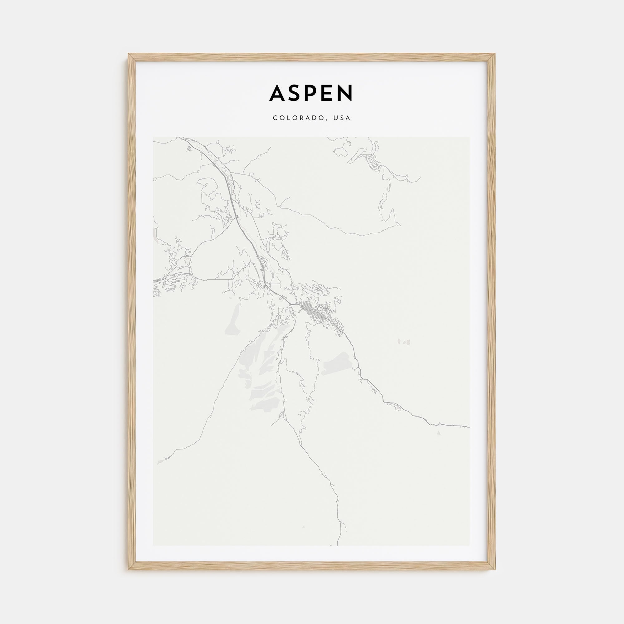 Aspen Map Portrait Poster