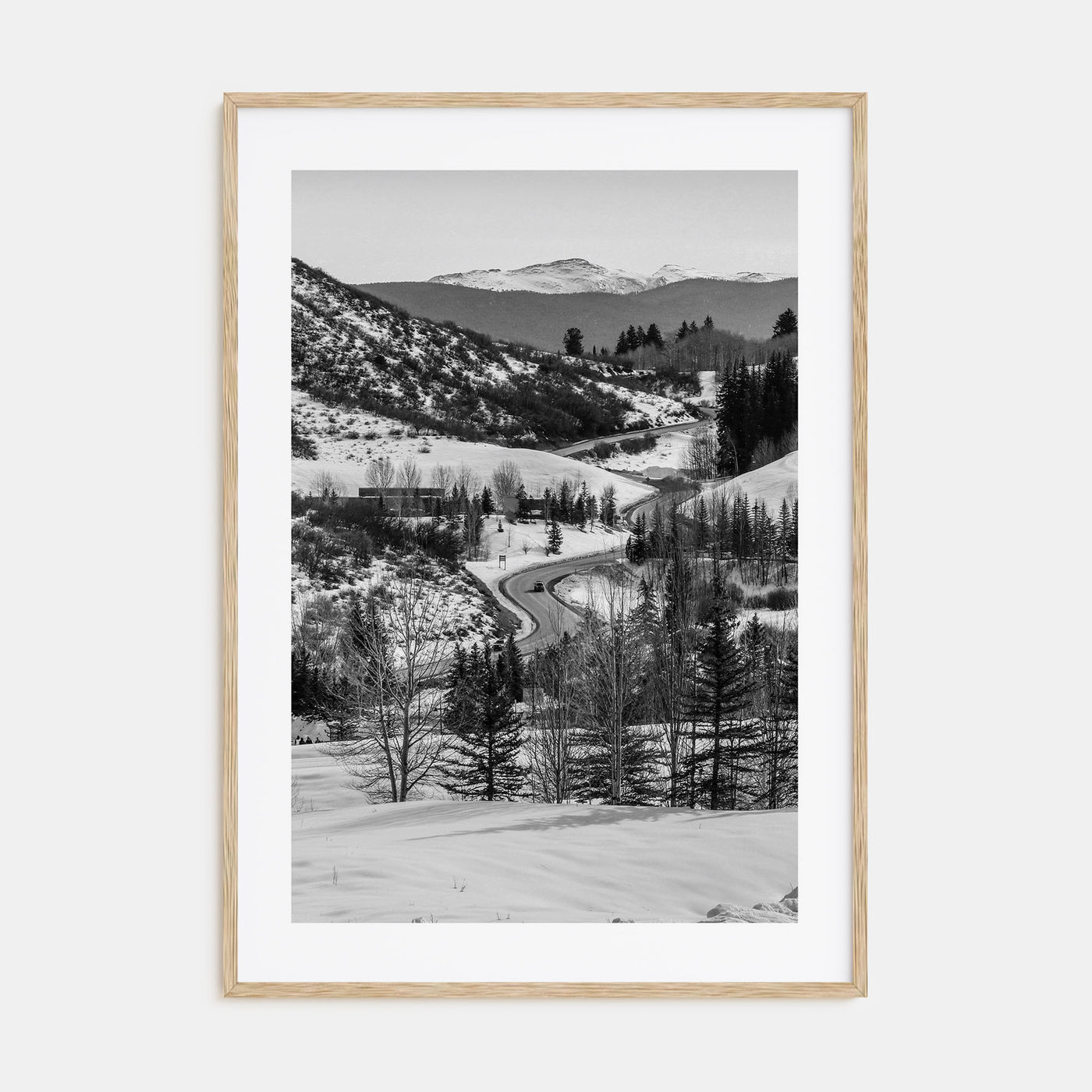 Aspen Photo B&W No 1 Poster