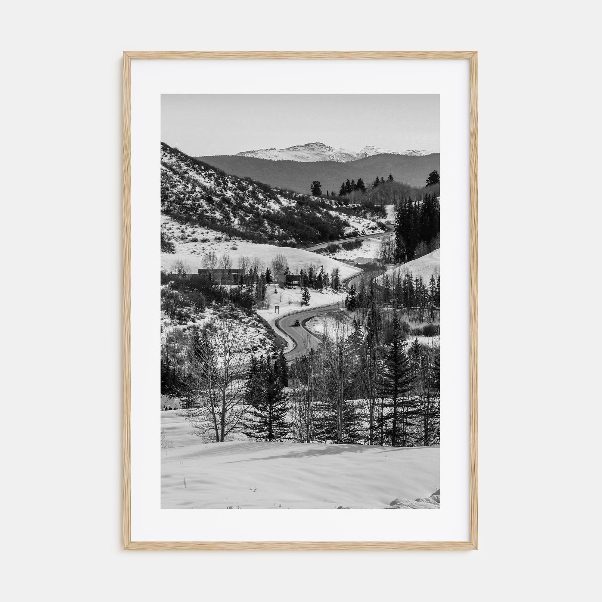 Aspen Photo B&W No 1 Poster