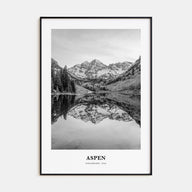 Aspen Portrait B&W Poster