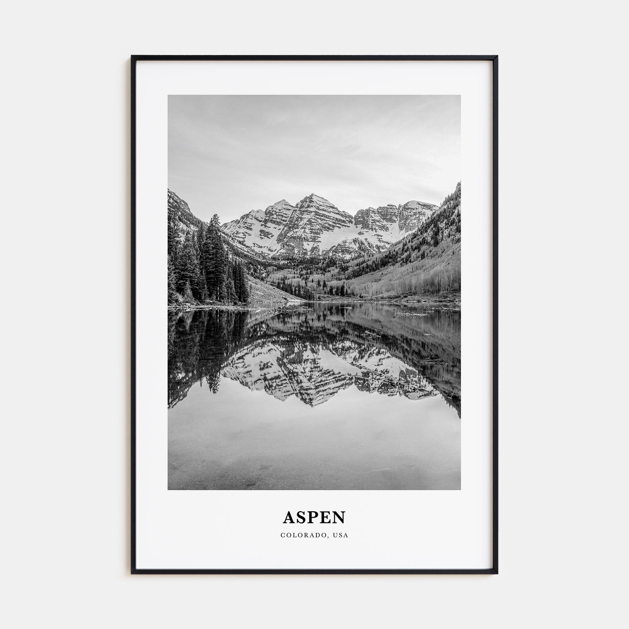 Aspen Portrait B&W Poster