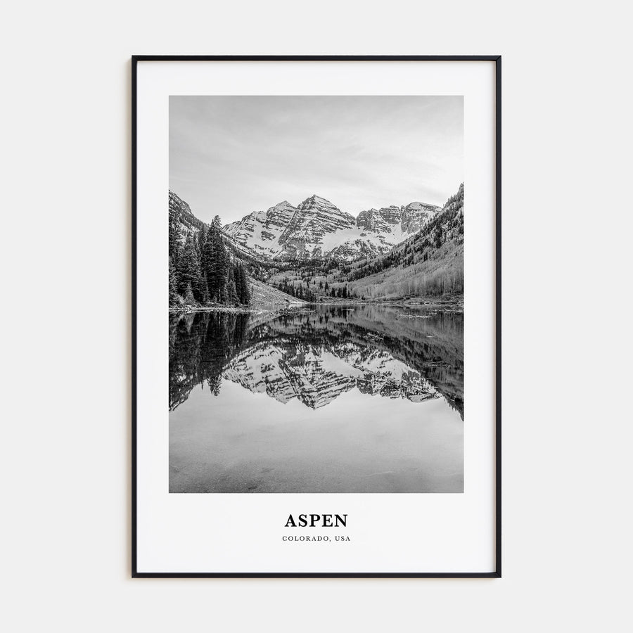 Aspen Portrait B&W Poster