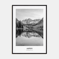 Aspen Portrait B&W Poster