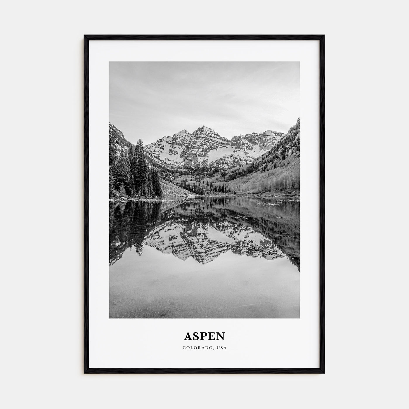 Aspen Portrait B&W Poster