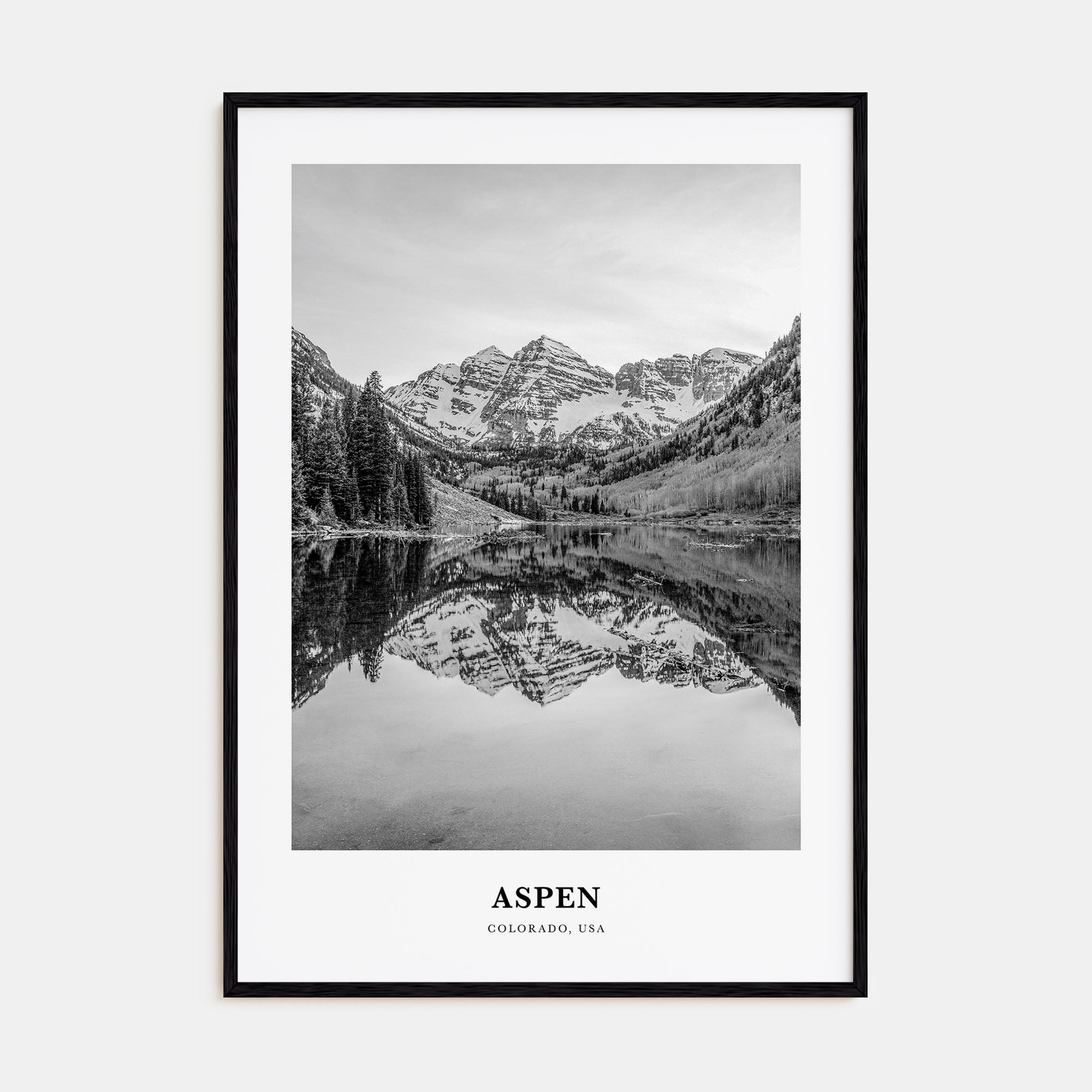 Aspen Portrait B&W Poster