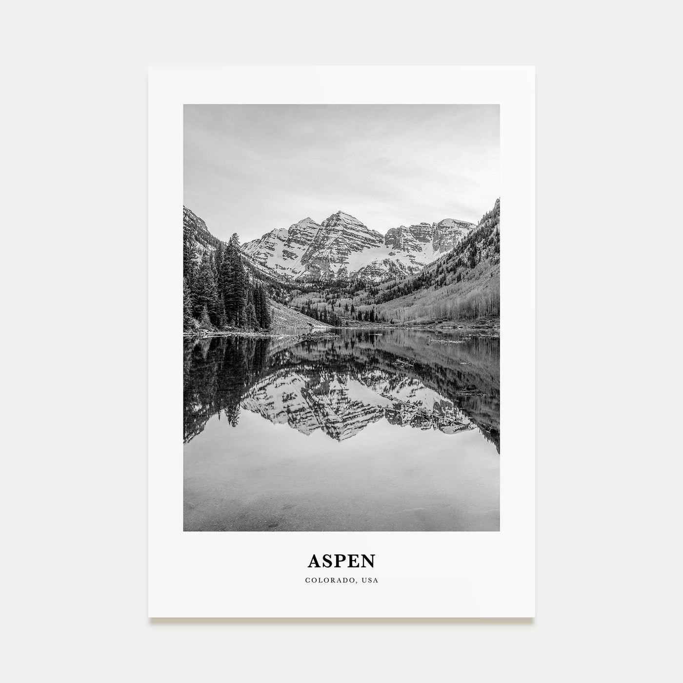 Aspen Portrait B&W Poster