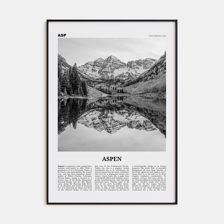 Aspen Travel B&W Poster