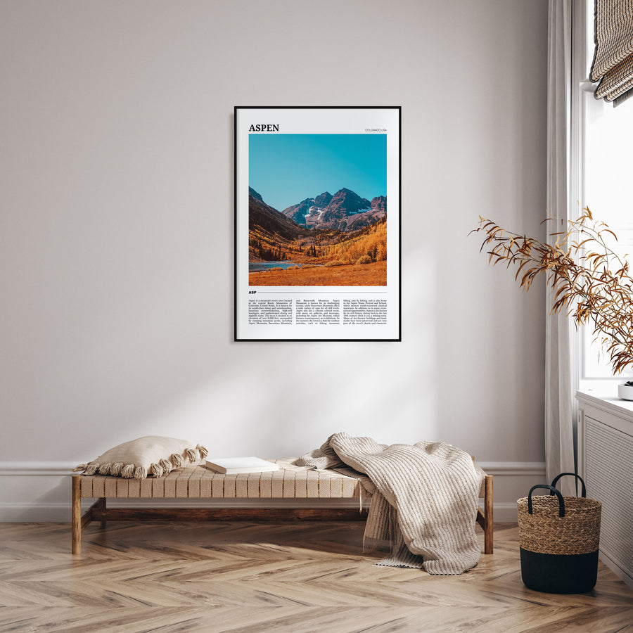 Aspen Travel Color Poster