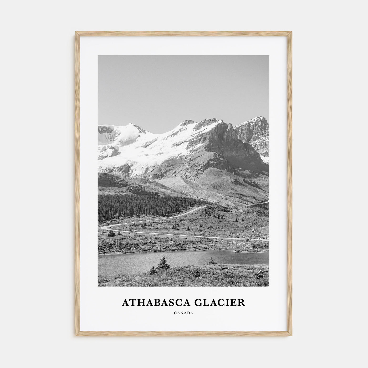 Athabasca Glacier Portrait B&W Poster