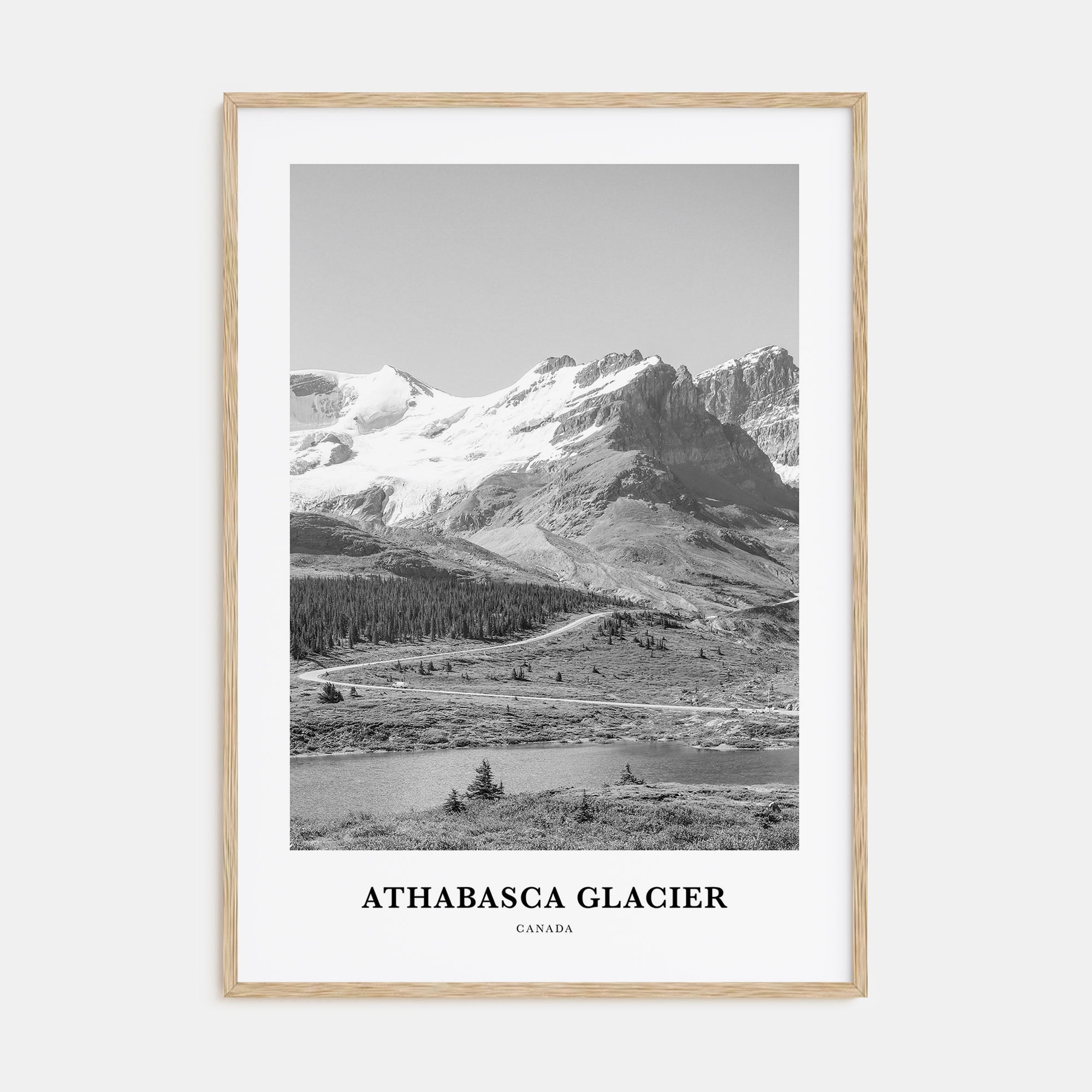Athabasca Glacier Portrait B&W Poster