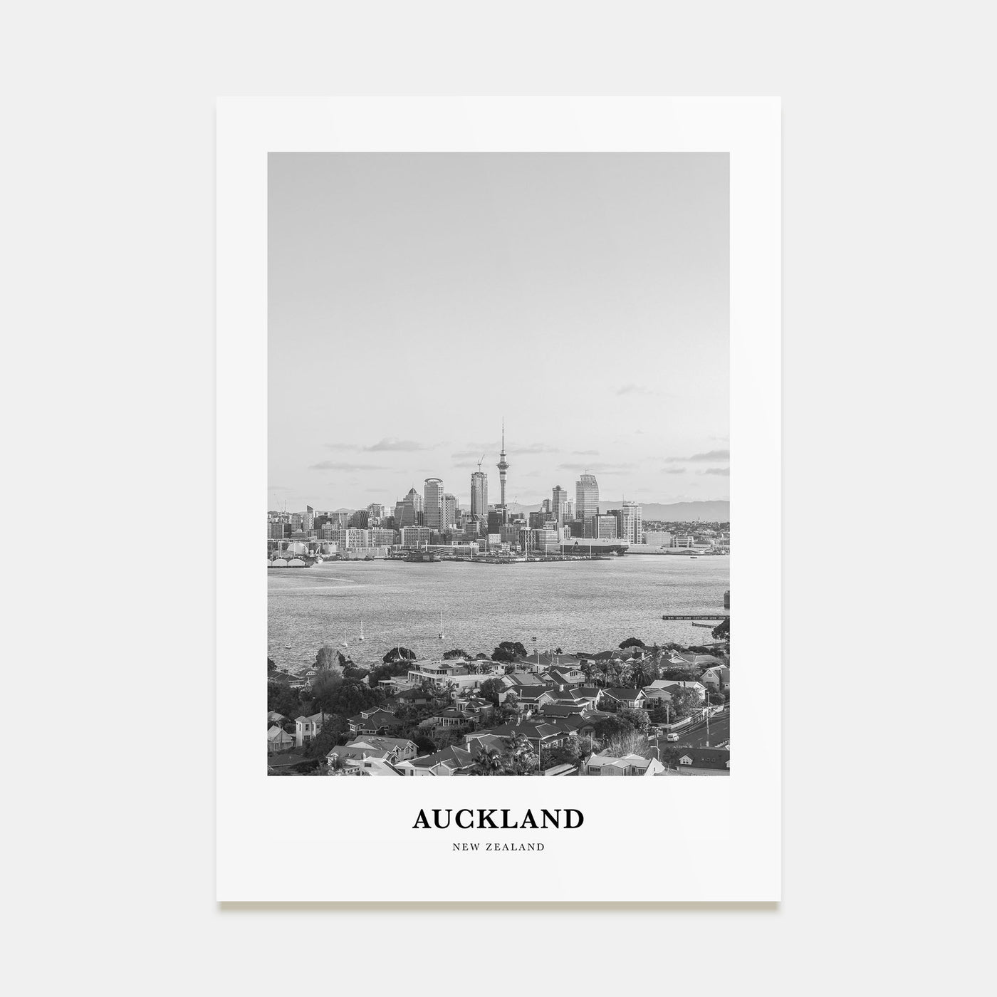 Auckland Portrait B&W No 3 Poster