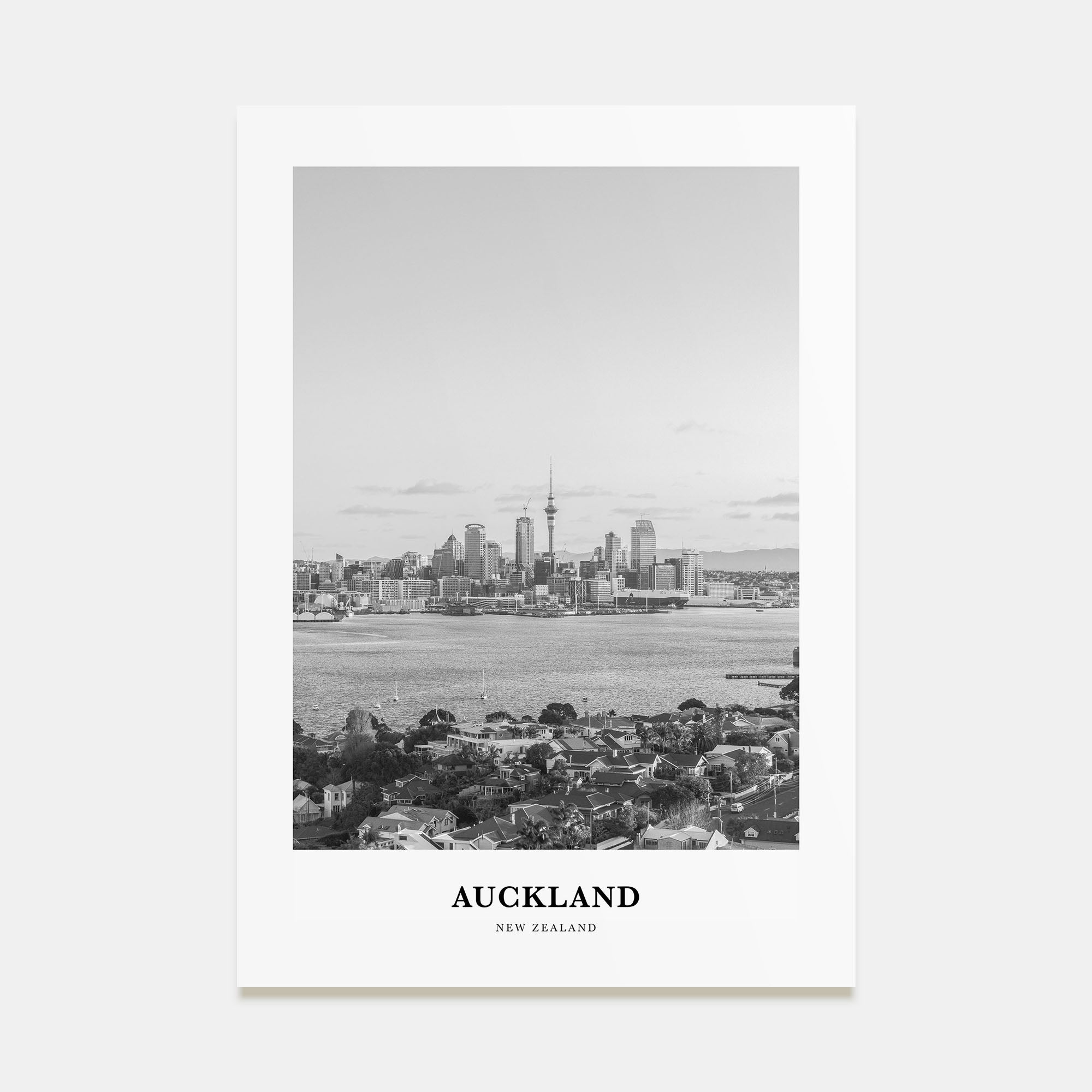 Auckland Portrait B&W No 3 Poster