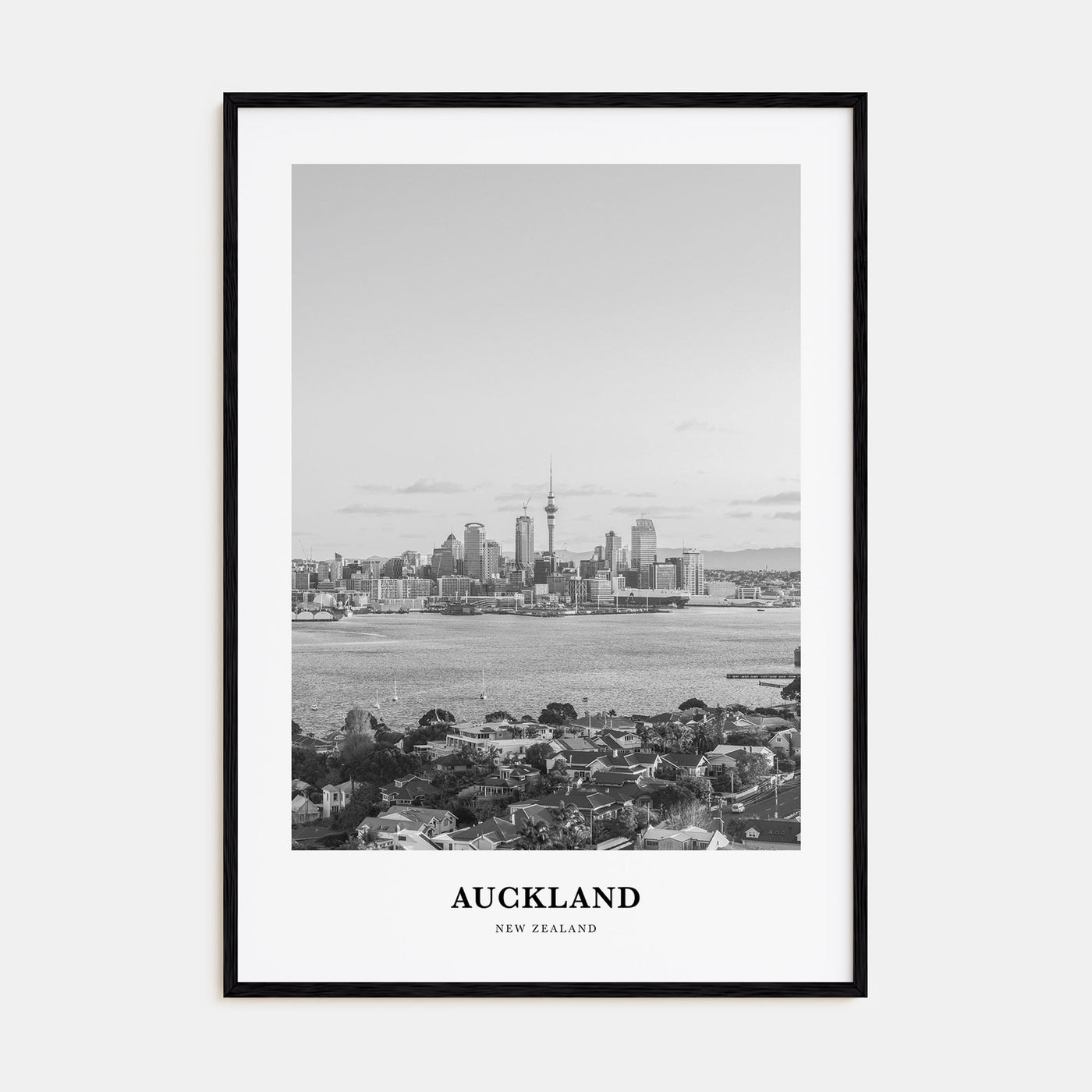 Auckland Portrait B&W No 3 Poster