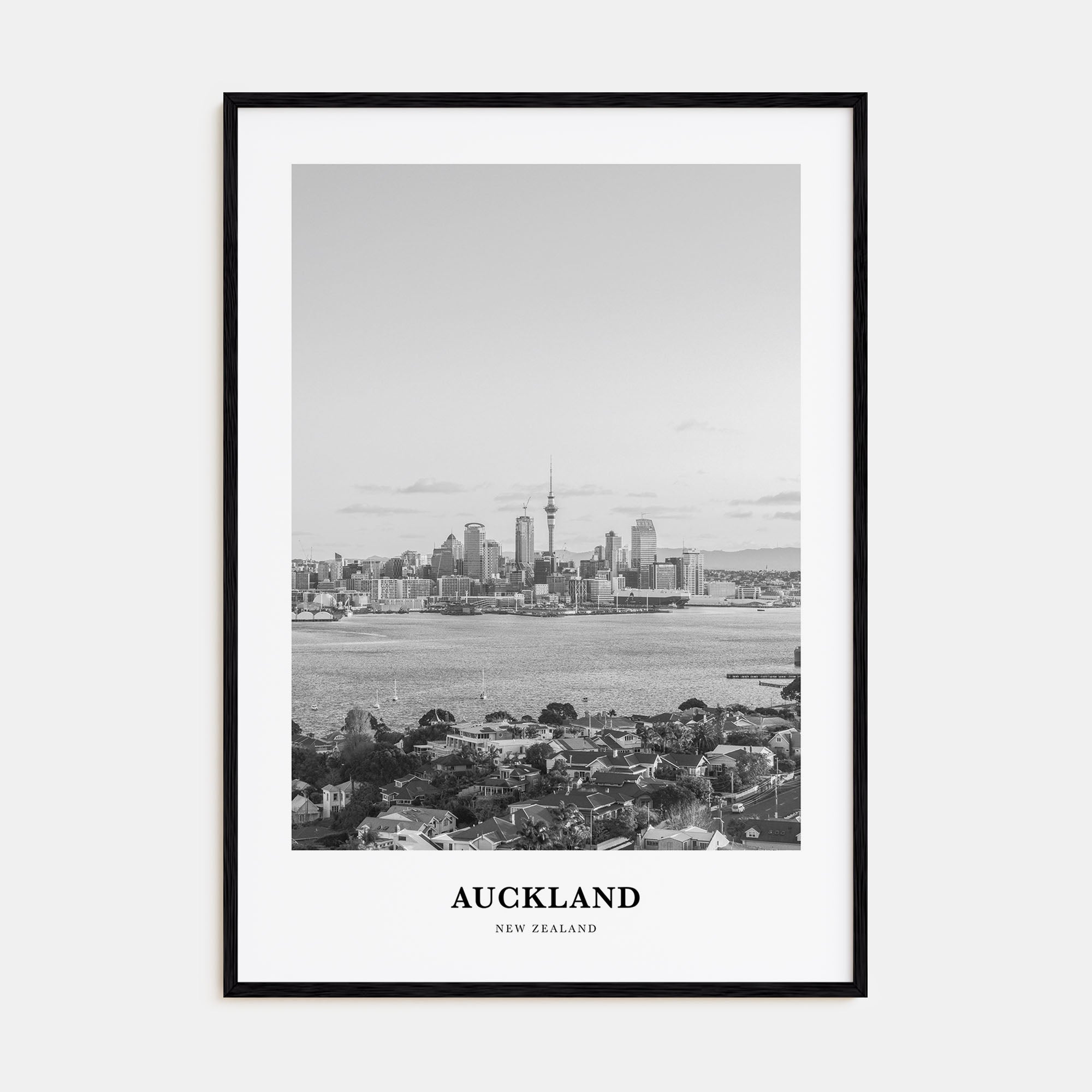 Auckland Portrait B&W No 3 Poster